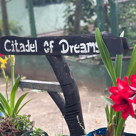 Citadel Of Dreams Ellaアパートメント エクステリア 写真