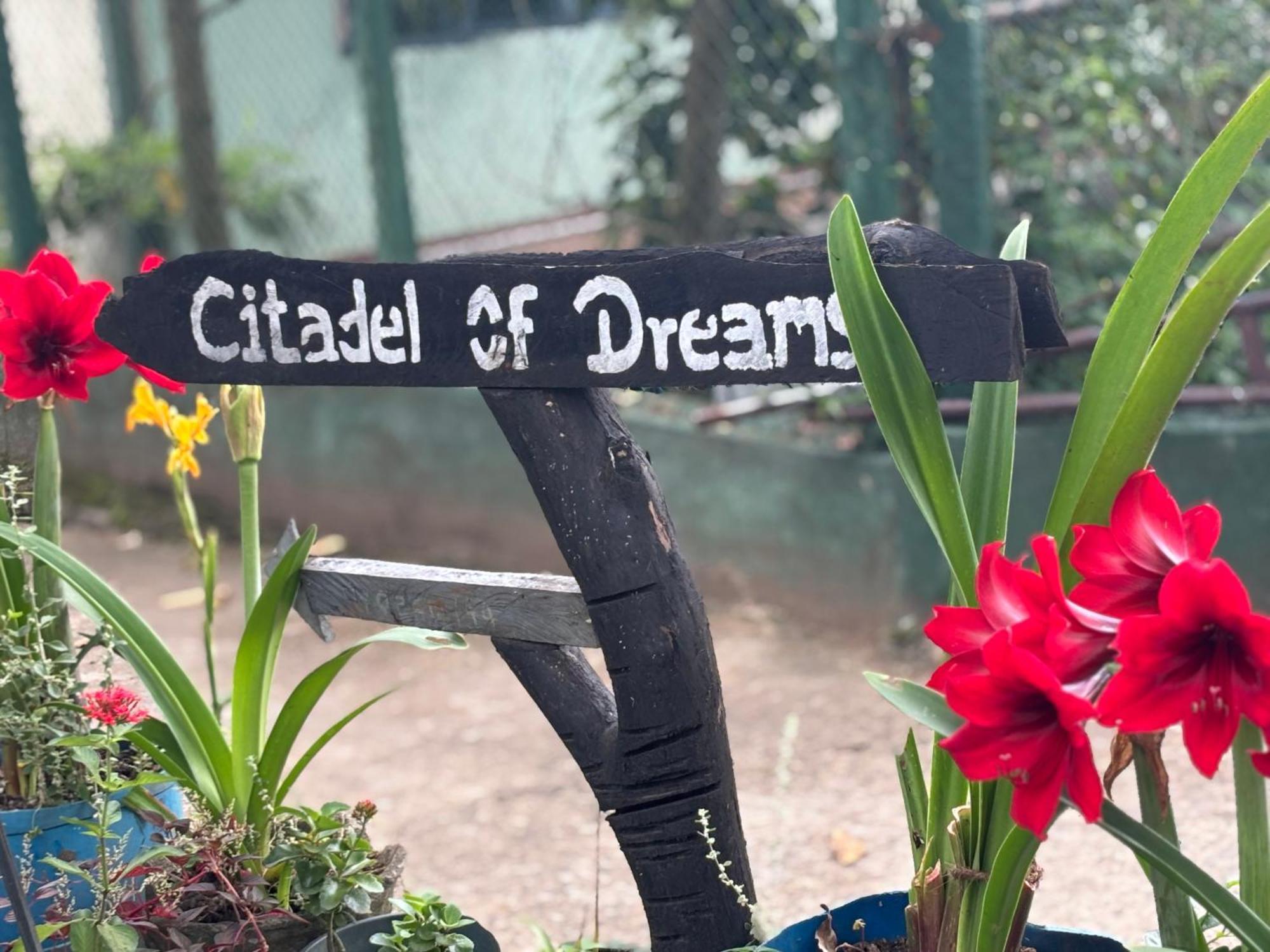 Citadel Of Dreams Ellaアパートメント エクステリア 写真