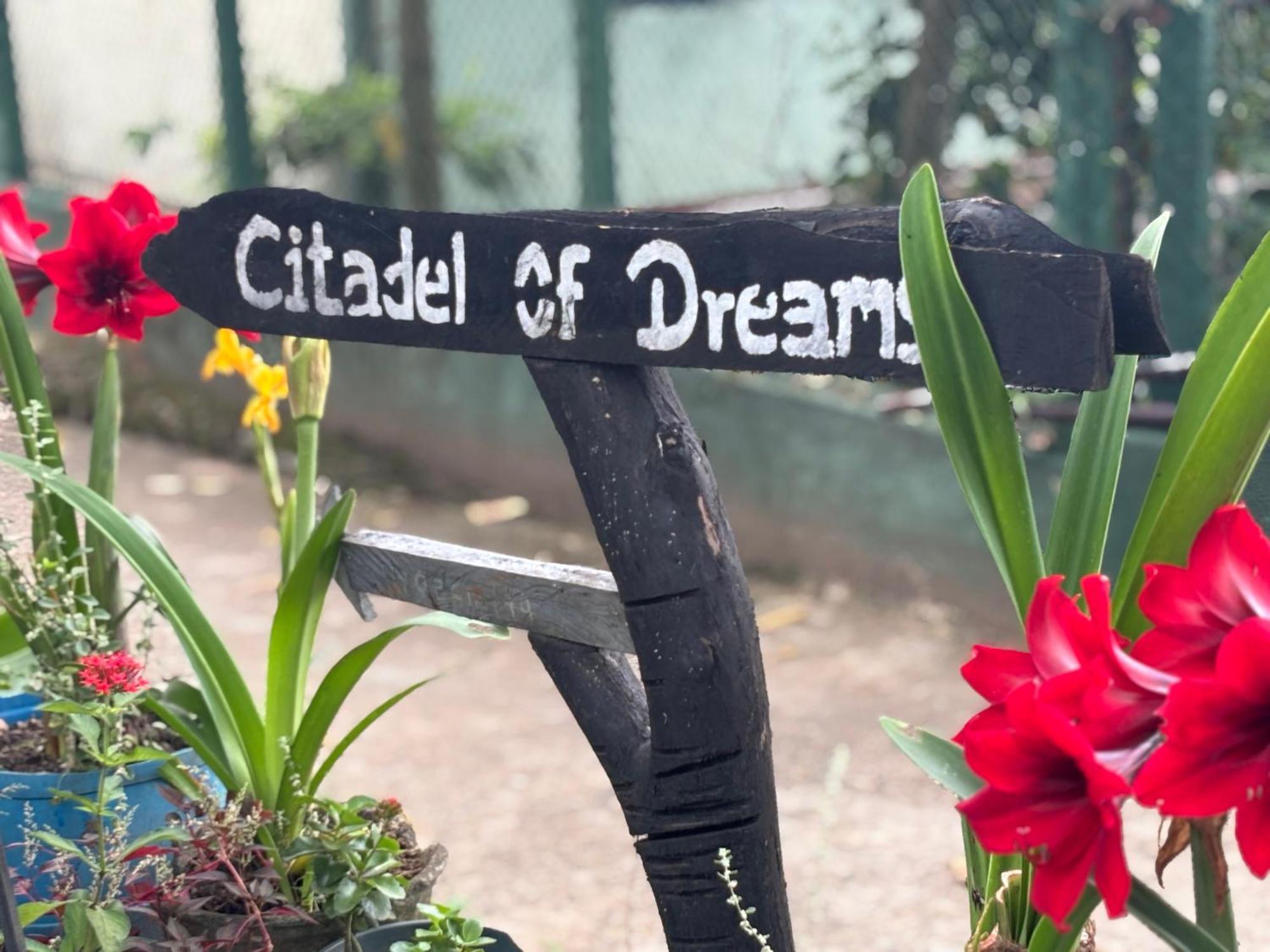Citadel Of Dreams Ellaアパートメント エクステリア 写真